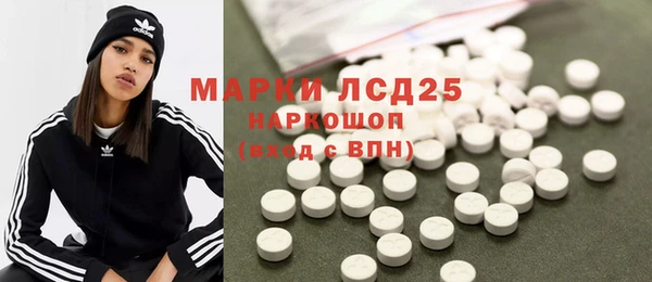 ГАЛЛЮЦИНОГЕННЫЕ ГРИБЫ Няндома