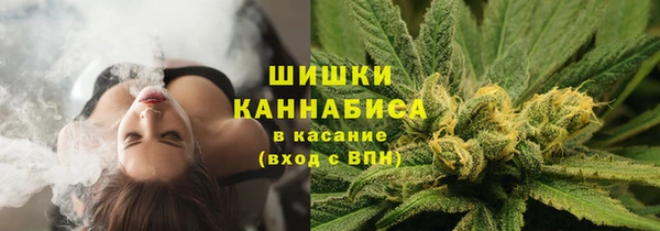 крисы Нязепетровск