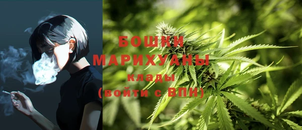 крисы Нязепетровск