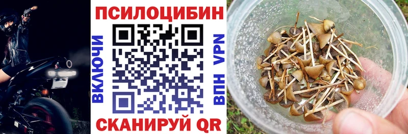 Псилоцибиновые грибы Magic Shrooms  купить наркоту  Агидель 